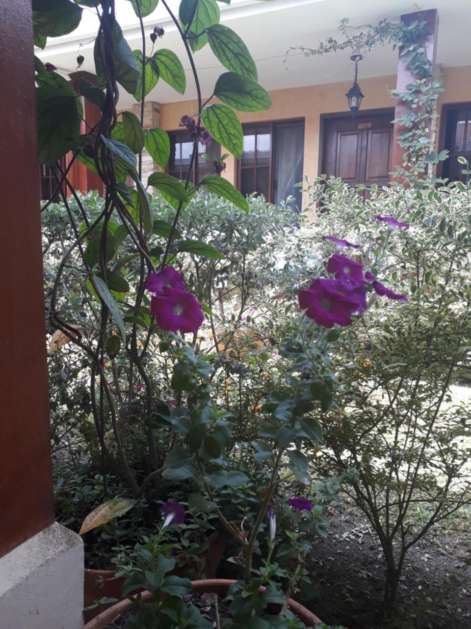 Posada Gema De Copan Санта-Роса-де-Копан Екстер'єр фото